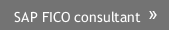 SAP FICO consultant